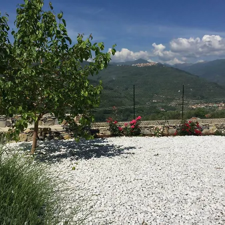 Fico Fiore * Gazzelli